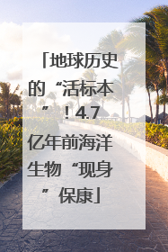 地球历史的“活标本”！4.7亿年前海洋生物“现身”保康