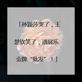 孙颖莎哭了，王楚钦笑了，潘展乐金牌“批发”！