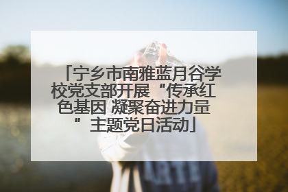 宁乡市南雅蓝月谷学校党支部开展“传承红色基因 凝聚奋进力量”主题党日活动