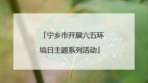 宁乡市开展六五环境日主题系列活动