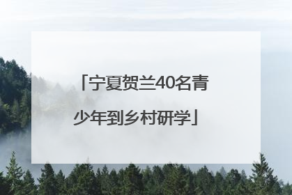 宁夏贺兰40名青少年到乡村研学