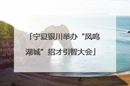 宁夏银川举办“凤鸣湖城”招才引智大会