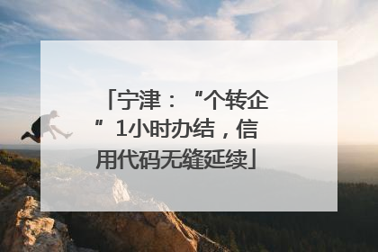 宁津：“个转企”1小时办结，信用代码无缝延续