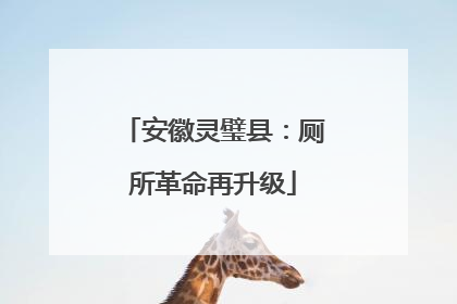安徽灵璧县：厕所革命再升级