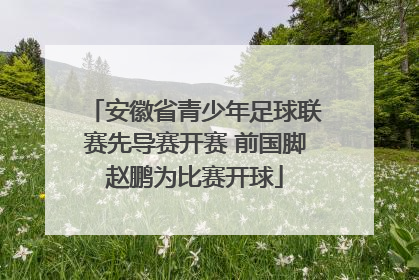 安徽省青少年足球联赛先导赛开赛 前国脚赵鹏为比赛开球