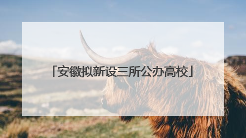 安徽拟新设三所公办高校