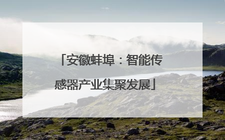 安徽蚌埠：智能传感器产业集聚发展