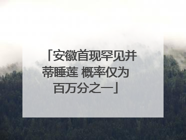 安徽首现罕见并蒂睡莲 概率仅为百万分之一