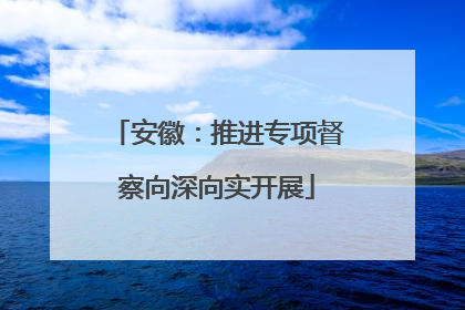 安徽：推进专项督察向深向实开展