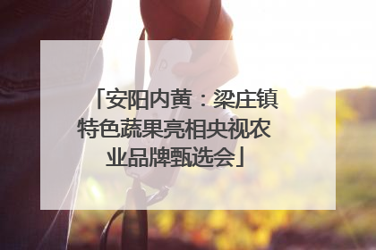 安阳内黄：梁庄镇特色蔬果亮相央视农业品牌甄选会