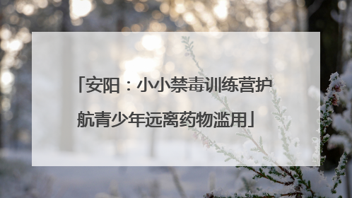 安阳：小小禁毒训练营护航青少年远离药物滥用