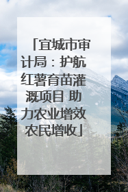 宜城市审计局：护航红薯育苗灌溉项目 助力农业增效农民增收