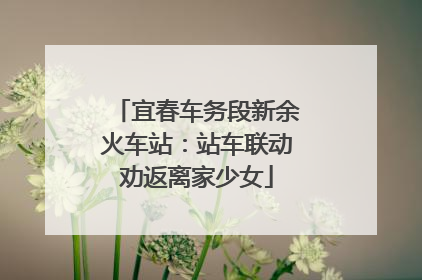 宜春车务段新余火车站：站车联动劝返离家少女