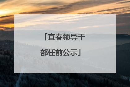 宜春领导干部任前公示