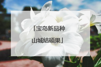 宝岛新品种 山城结硕果