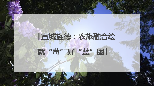 宣城旌德：农旅融合绘就“莓”好“蓝”图