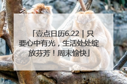 壹点日历6.22｜只要心中有光，生活处处绽放芬芳！周末愉快