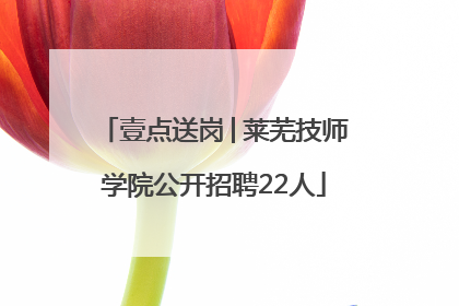 壹点送岗│莱芜技师学院公开招聘22人