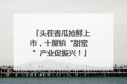 头茬香瓜抢鲜上市，十屋镇“甜蜜”产业促振兴！
