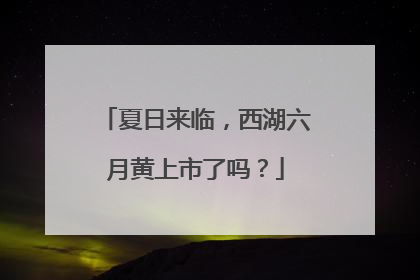夏日来临，西湖六月黄上市了吗？