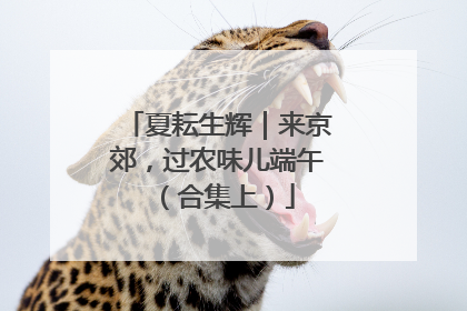 夏耘生辉｜来京郊，过农味儿端午（合集上）