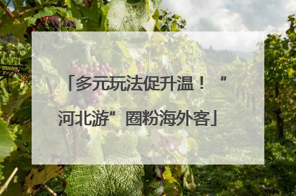 多元玩法促升温！“河北游”圈粉海外客