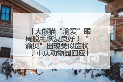 大熊猫“渝爱”眼周脱毛恢复良好！“渝贝”出现类似症状，重庆动物园回应