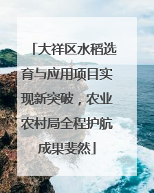 大祥区水稻选育与应用项目实现新突破，农业农村局全程护航成果斐然