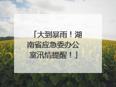 大到暴雨！湖南省应急委办公室汛情提醒！