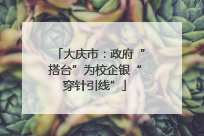 大庆市：政府“搭台”为校企银“穿针引线”