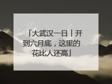 大武汉一日︱开到六月底，这里的花比人还高