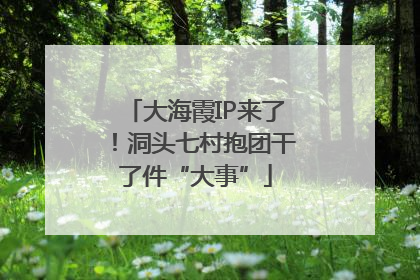 大海霞IP来了！洞头七村抱团干了件“大事”