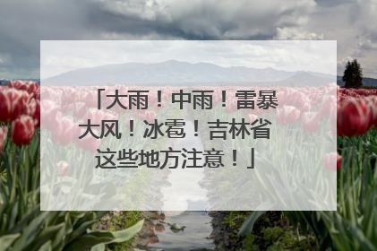 大雨！中雨！雷暴大风！冰雹！吉林省这些地方注意！
