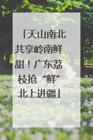 天山南北共享岭南鲜甜！广东荔枝抢“鲜”北上进疆