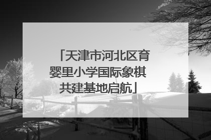 天津市河北区育婴里小学国际象棋共建基地启航
