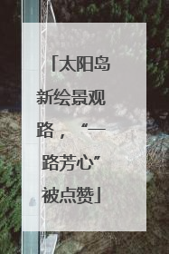 太阳岛新绘景观路，“一路芳心”被点赞