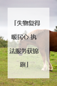 失物复得暖民心 执法服务获锦旗