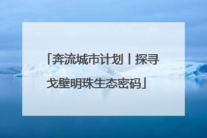 奔流城市计划丨探寻戈壁明珠生态密码