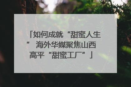 如何成就“甜蜜人生” 海外华媒聚焦山西高平“甜蜜工厂”