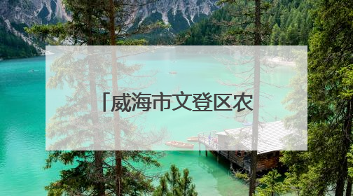 威海市文登区农民才艺大赛：樱桃红处歌声扬，文明新风满乡间