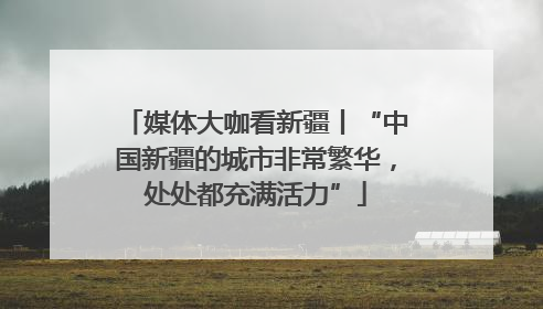媒体大咖看新疆丨“中国新疆的城市非常繁华，处处都充满活力”