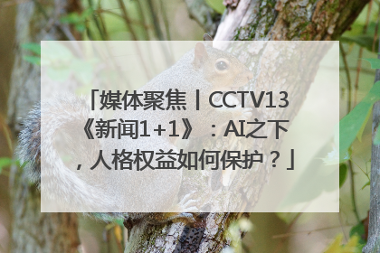 媒体聚焦丨CCTV13《新闻1+1》：AI之下，人格权益如何保护？