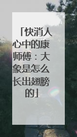 快消人心中的康师傅：大象是怎么长出翅膀的