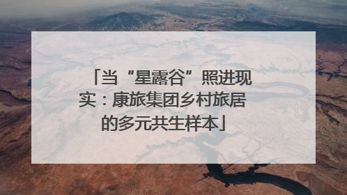 当“星露谷”照进现实：康旅集团乡村旅居的多元共生样本