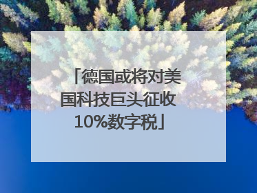 德国或将对美国科技巨头征收10%数字税