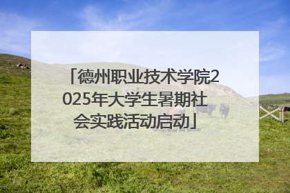 德州职业技术学院2025年大学生暑期社会实践活动启动