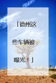 德州这些车辆被曝光！