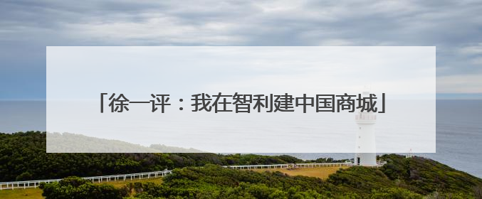 徐一评：我在智利建中国商城