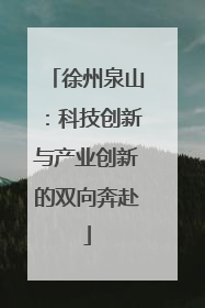 徐州泉山：科技创新与产业创新的双向奔赴
