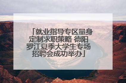 就业指导专区量身定制求职策略 德阳罗江夏季大学生专场招聘会成功举办